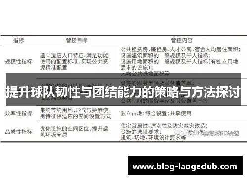 提升球队韧性与团结能力的策略与方法探讨