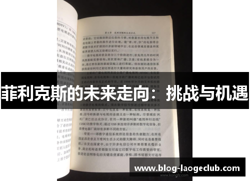 菲利克斯的未来走向：挑战与机遇